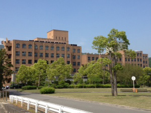 バイオエネルギー