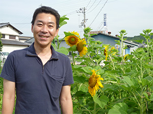 ひまわり