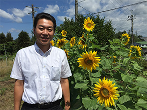 ひまわり