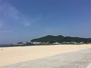 地引網