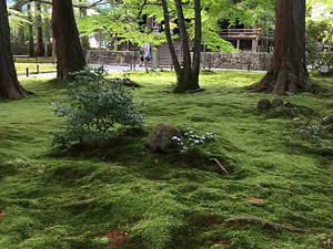 京都大原三千院