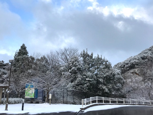 福井県おおい町 雪景色