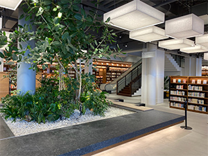図書館1