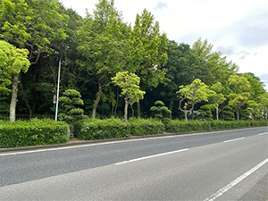 日前宮