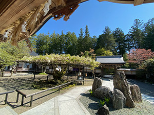 高野山總持院
